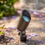 Unique Positron Up Light