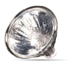 Halogen Bulbs